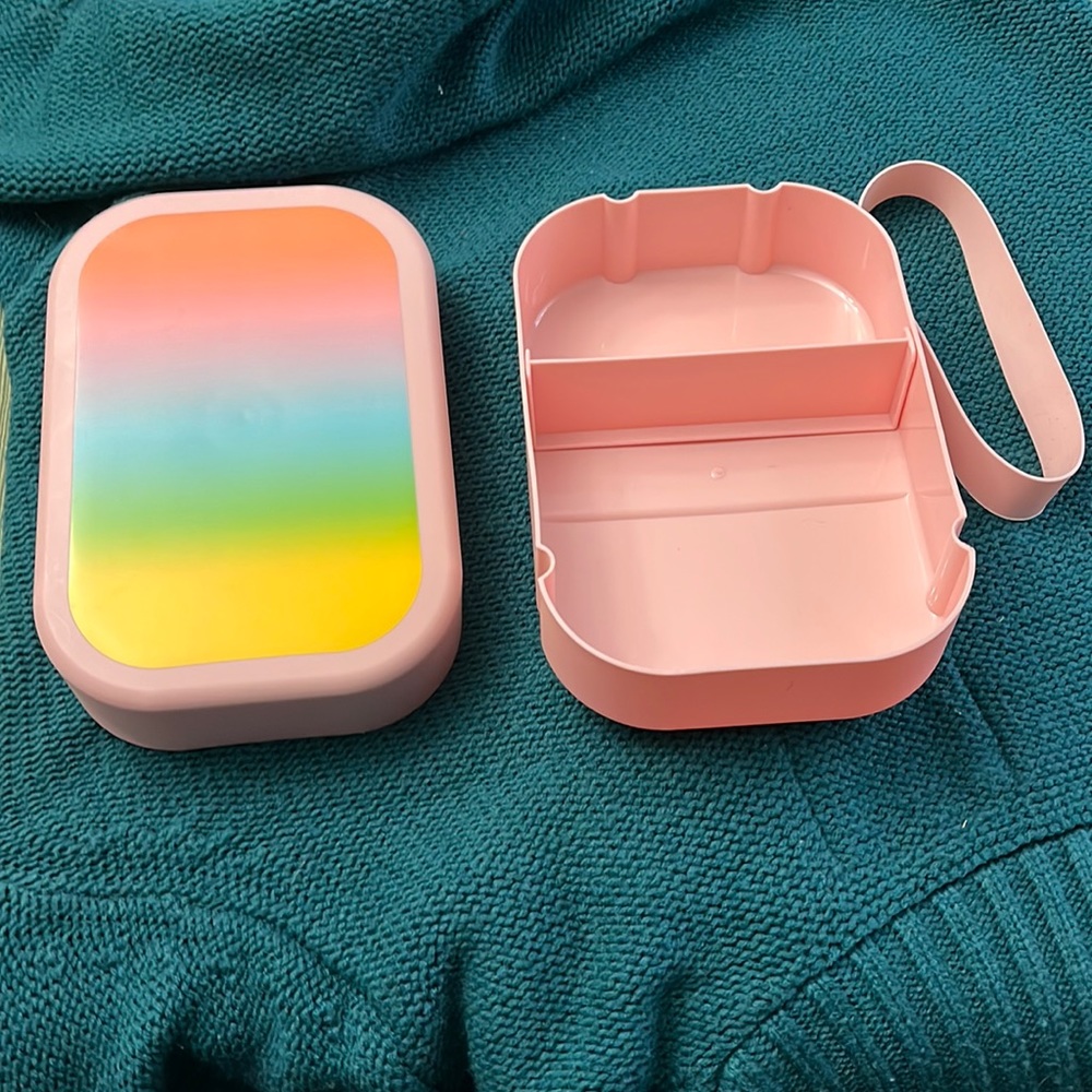 Sun Squad bento box with removable divide, dishwasher safe